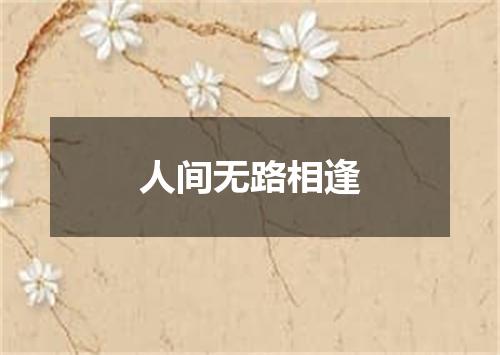 人间无路相逢