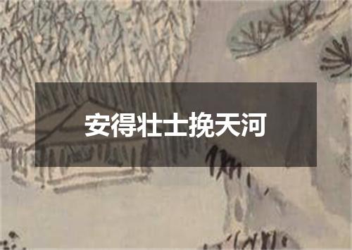 安得壮士挽天河