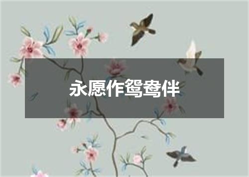 永愿作鸳鸯伴