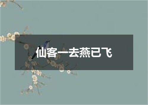 仙客一去燕已飞