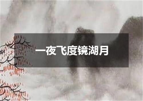 一夜飞度镜湖月
