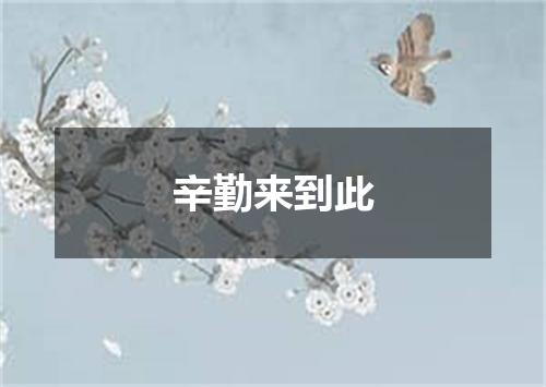 辛勤来到此
