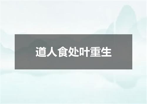 道人食处叶重生