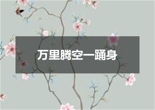 万里腾空一踊身