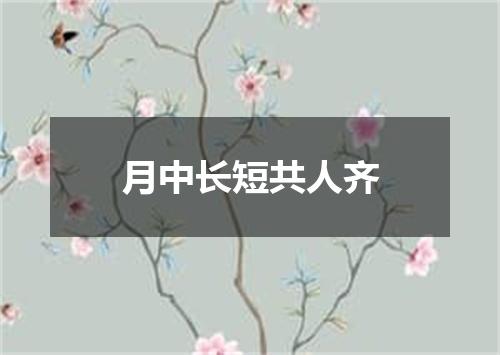 月中长短共人齐