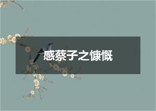 感蔡子之慷慨