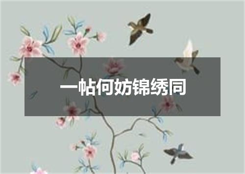 一帖何妨锦绣同