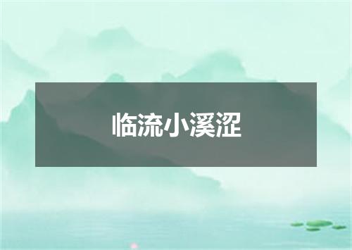 临流小溪涩