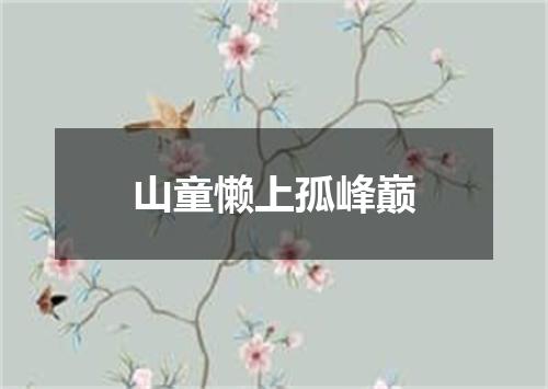 山童懒上孤峰巅