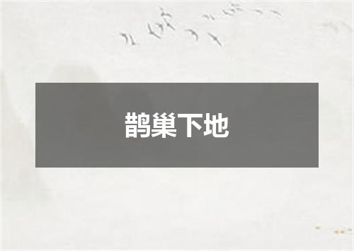 鹊巢下地