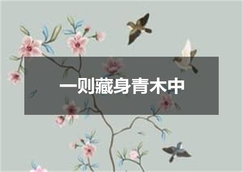 一则藏身青木中