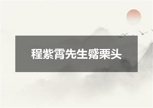 程紫霄先生觱栗头