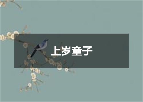 上岁童子