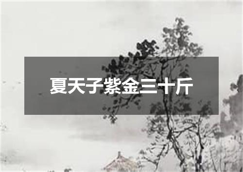 夏天子紫金三十斤