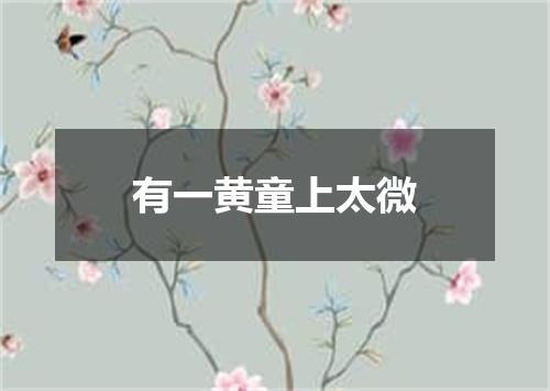 有一黄童上太微