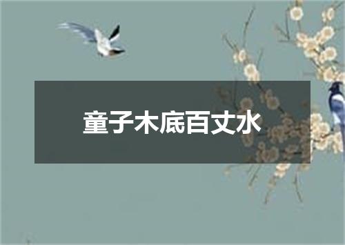 童子木底百丈水