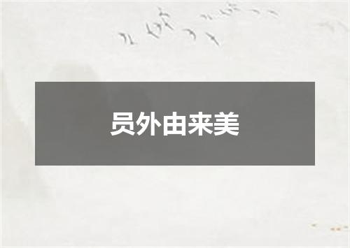 员外由来美