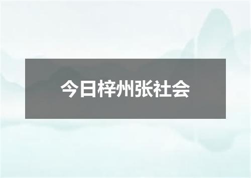 今日梓州张社会
