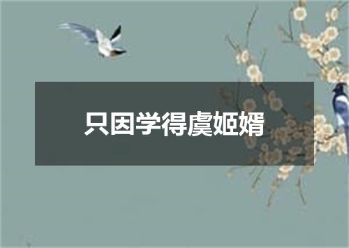 只因学得虞姬婿