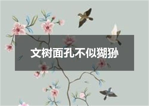 文树面孔不似猢狲