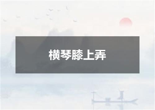 横琴膝上弄