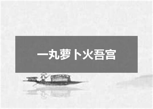 一丸萝卜火吾宫