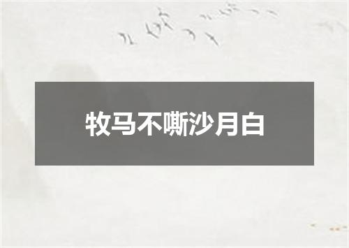 牧马不嘶沙月白