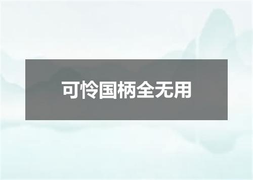可怜国柄全无用