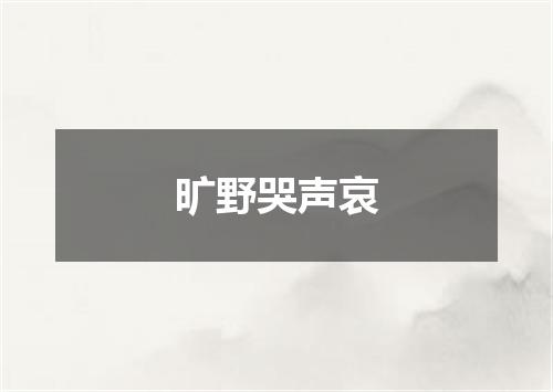 旷野哭声哀
