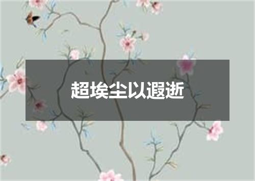 超埃尘以遐逝