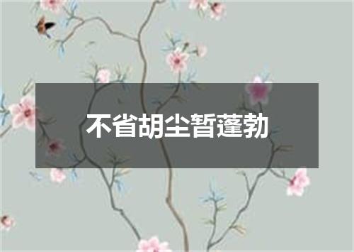 不省胡尘暂蓬勃