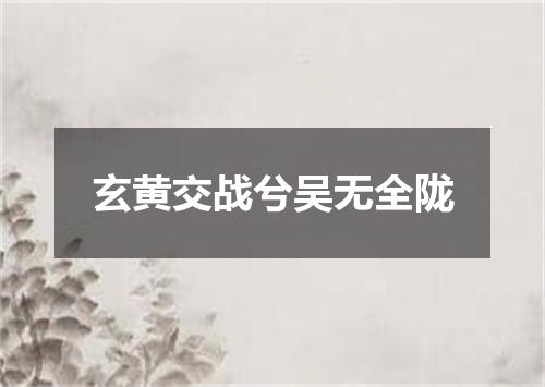 玄黄交战兮吴无全陇