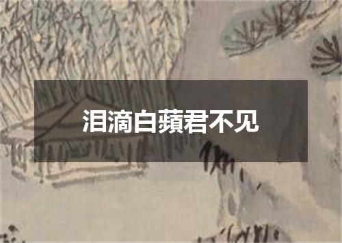 泪滴白蘋君不见