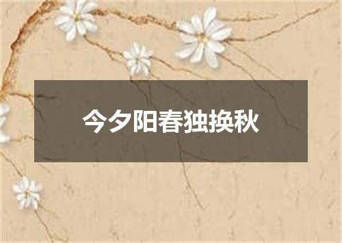今夕阳春独换秋