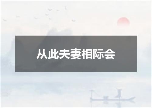 从此夫妻相际会