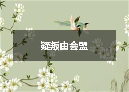 疑叛由会盟