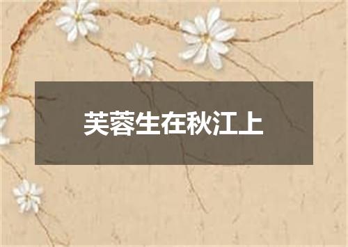 芙蓉生在秋江上