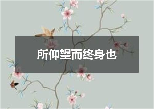 所仰望而终身也