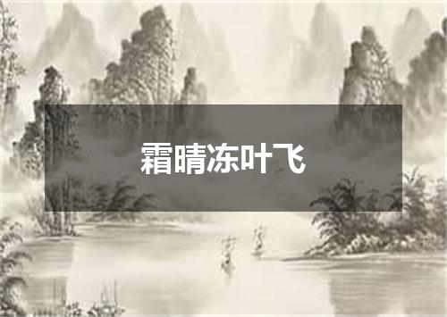 霜晴冻叶飞