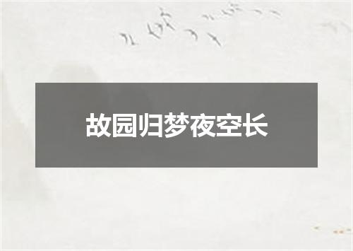 故园归梦夜空长