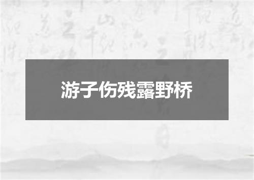 游子伤残露野桥