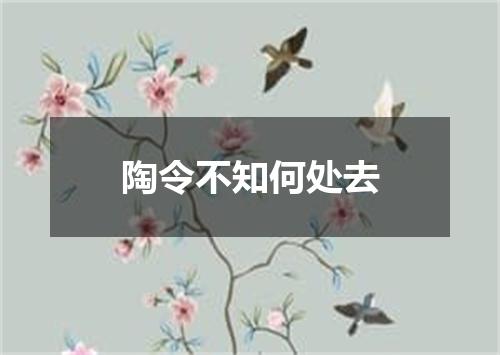 陶令不知何处去