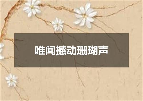 唯闻撼动珊瑚声