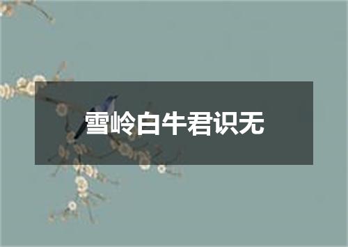 雪岭白牛君识无