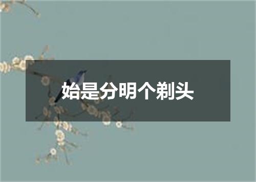 始是分明个剃头