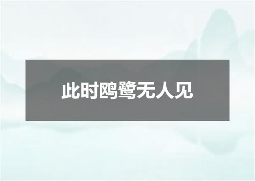 此时鸥鹭无人见