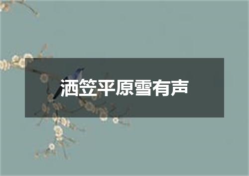 洒笠平原雪有声