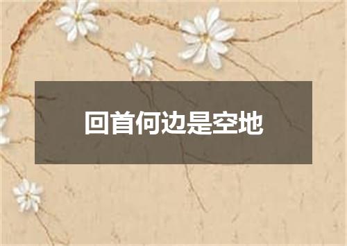 回首何边是空地