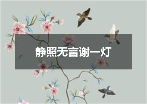 静照无言谢一灯