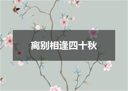 离别相逢四十秋
